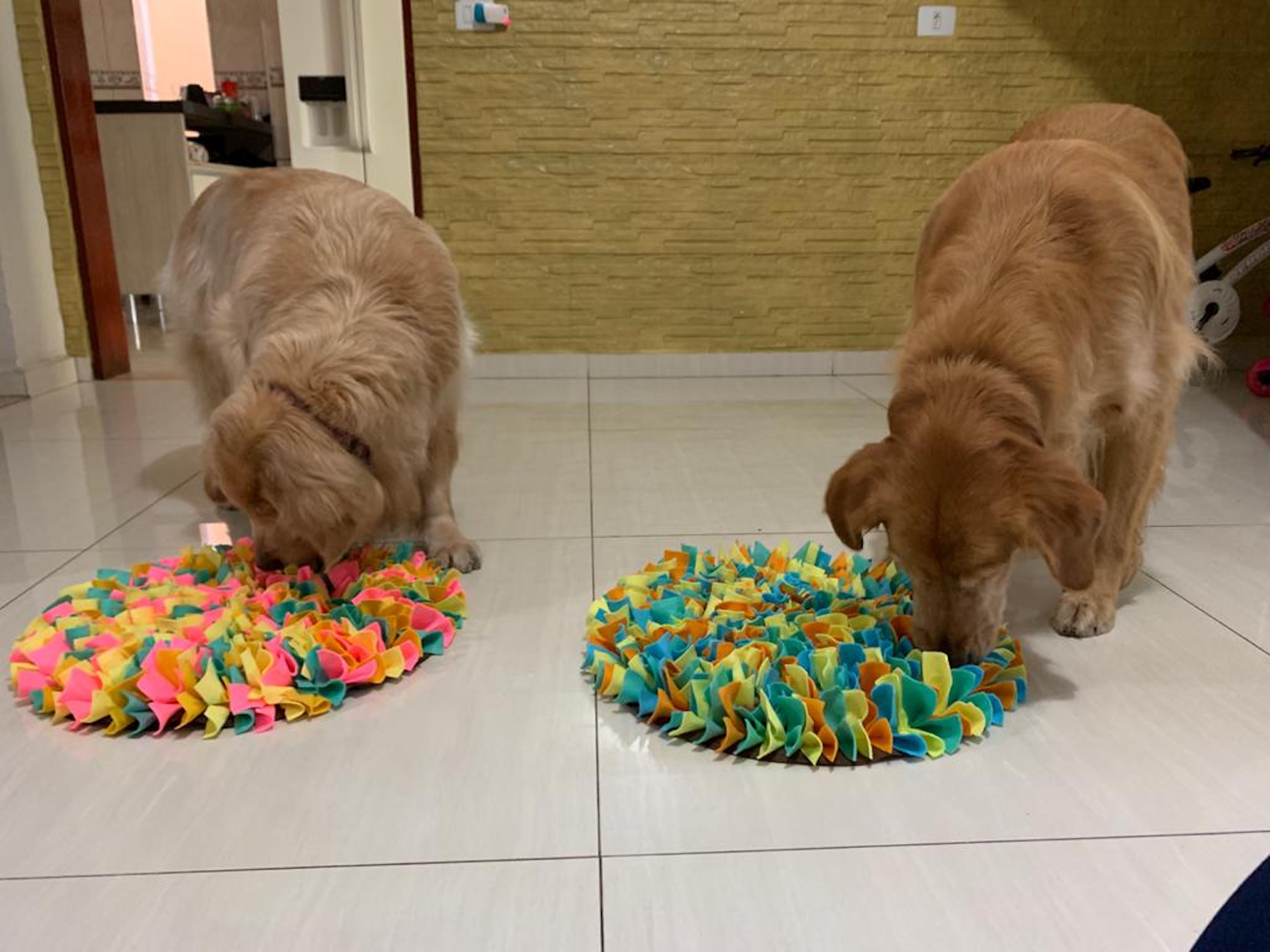 TAPETE DE ENRIQUECIMENTO AMBIENTAL PARA CACHORRO CÃES E GATOS